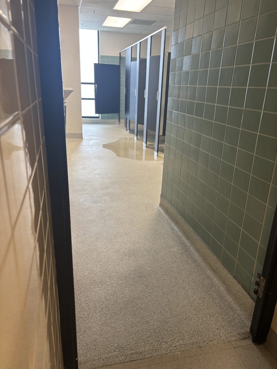 Bathroom with flooded stall 